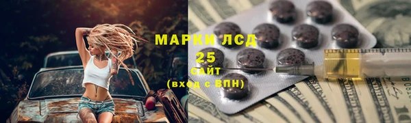 прущие грибы Магас