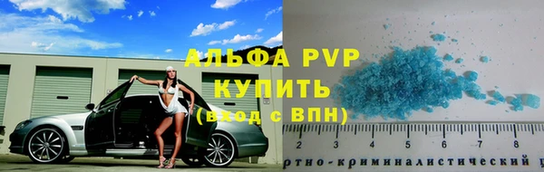 прущие грибы Магас