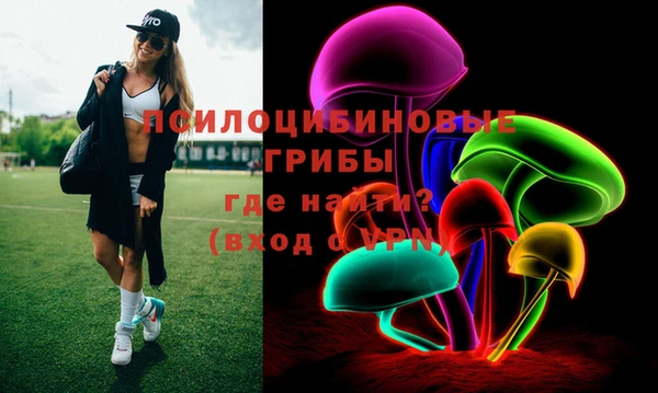 прущие грибы Магас