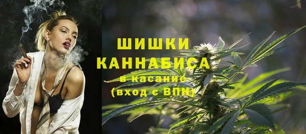 2c-b Ельня