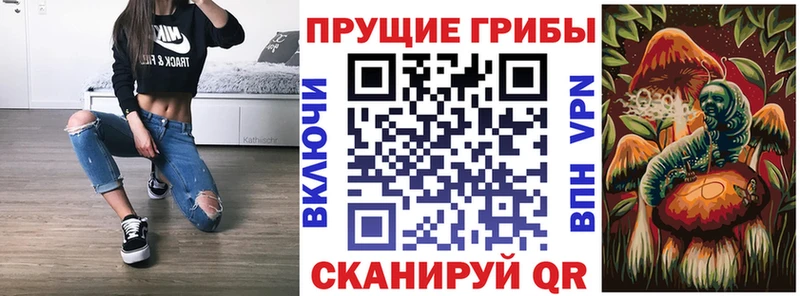 продажа наркотиков  Звенигород  Псилоцибиновые грибы Psilocybe 