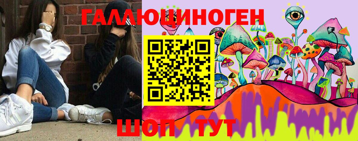 Галлюциногенные грибы прущие грибы Звенигород